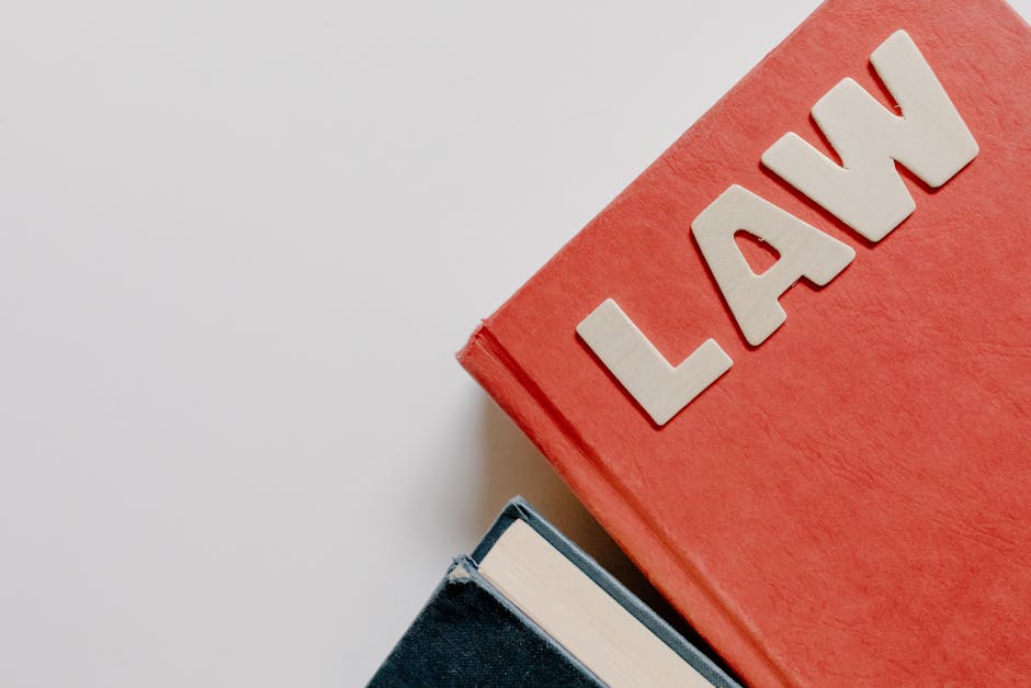 10 Law Expert Secrets To Acing School: A Holiday Gift