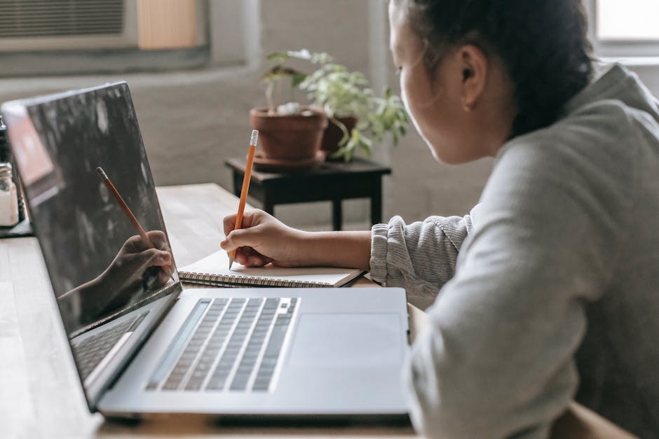 How Assignment Helper Online Use Pestle Analysis