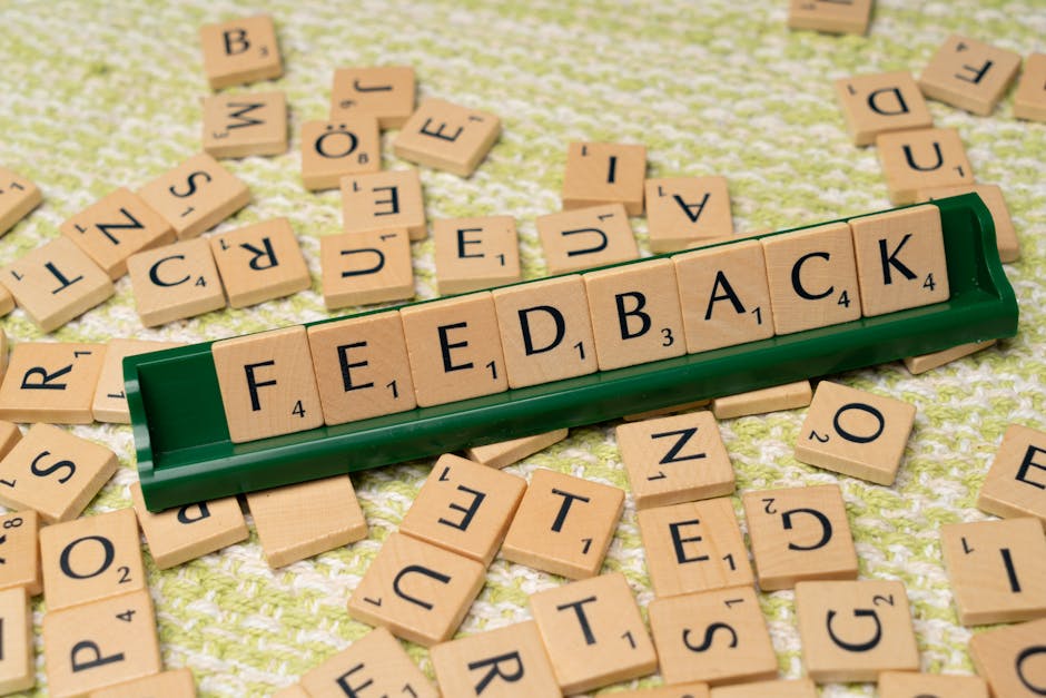 How to Approach Essay Prompts: ‘Critically Review’ Guide
